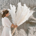Sylara Erba Pampas Essiccata per Decorazioni Boho e Esposizioni Domestiche
