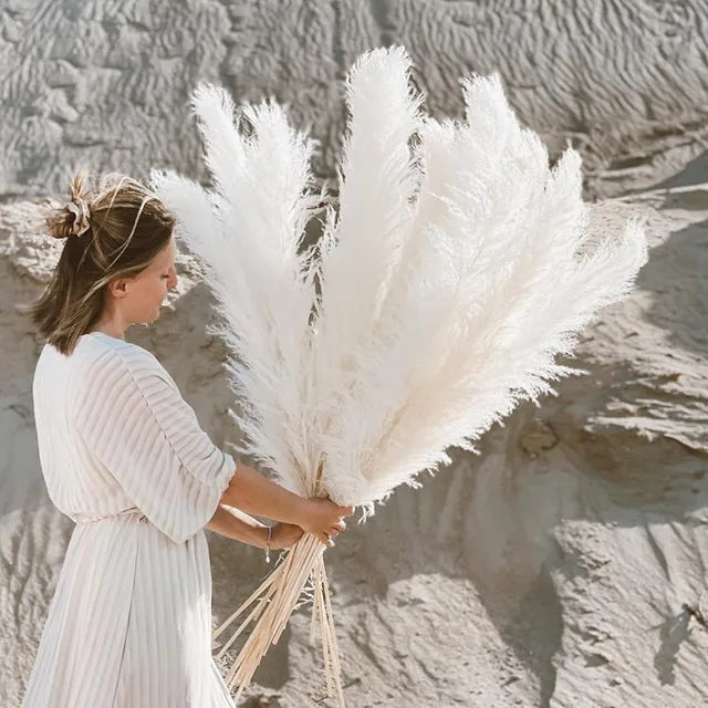 Sylara Erba Pampas Essiccata per Decorazioni Boho e Esposizioni Domestiche