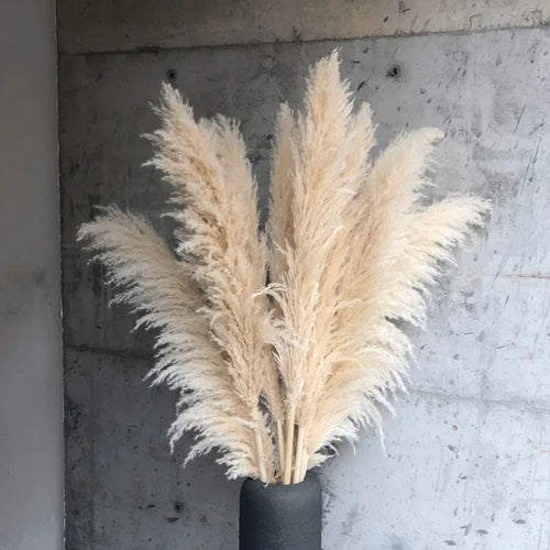 Accento Decorativo per la Casa in Erba Pampas Essiccata Boho Aurea Meadow