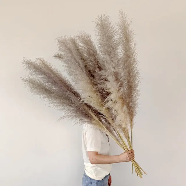 Accento Decorativo per la Casa in Erba Pampas Essiccata Boho Aurea Meadow