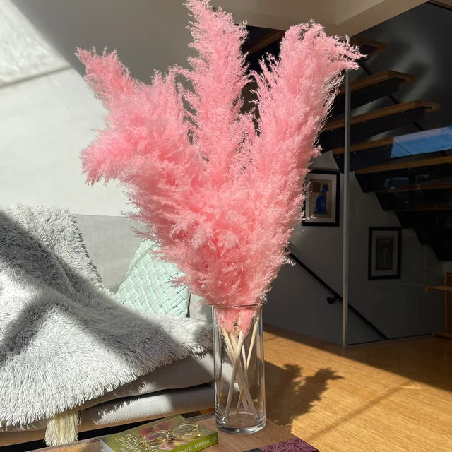 Accento Decorativo per la Casa in Erba Pampas Essiccata Boho Aurea Meadow