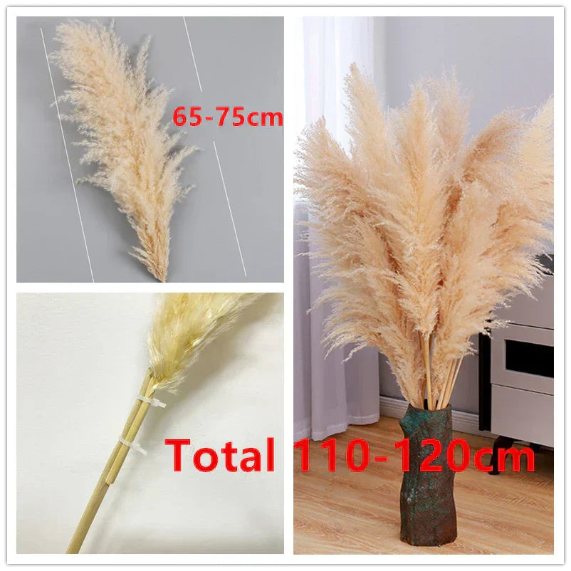 Accento Decorativo per la Casa in Erba Pampas Essiccata Boho Aurea Meadow