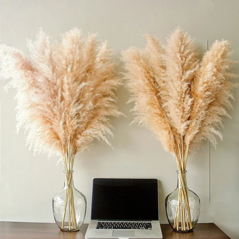 Accento Decorativo per la Casa in Erba Pampas Essiccata Boho Aurea Meadow