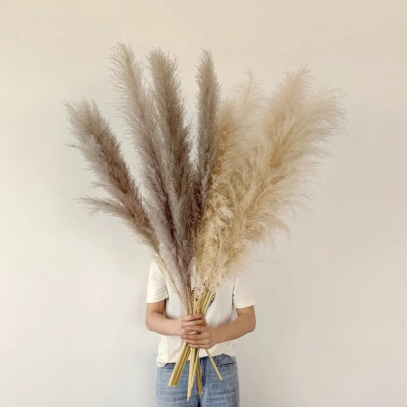 Accento Decorativo per la Casa in Erba Pampas Essiccata Boho Aurea Meadow
