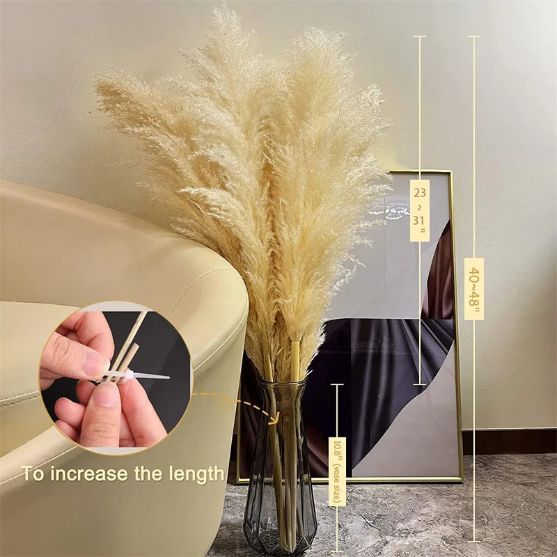 Accento Decorativo per la Casa in Erba Pampas Essiccata Boho Aurea Meadow