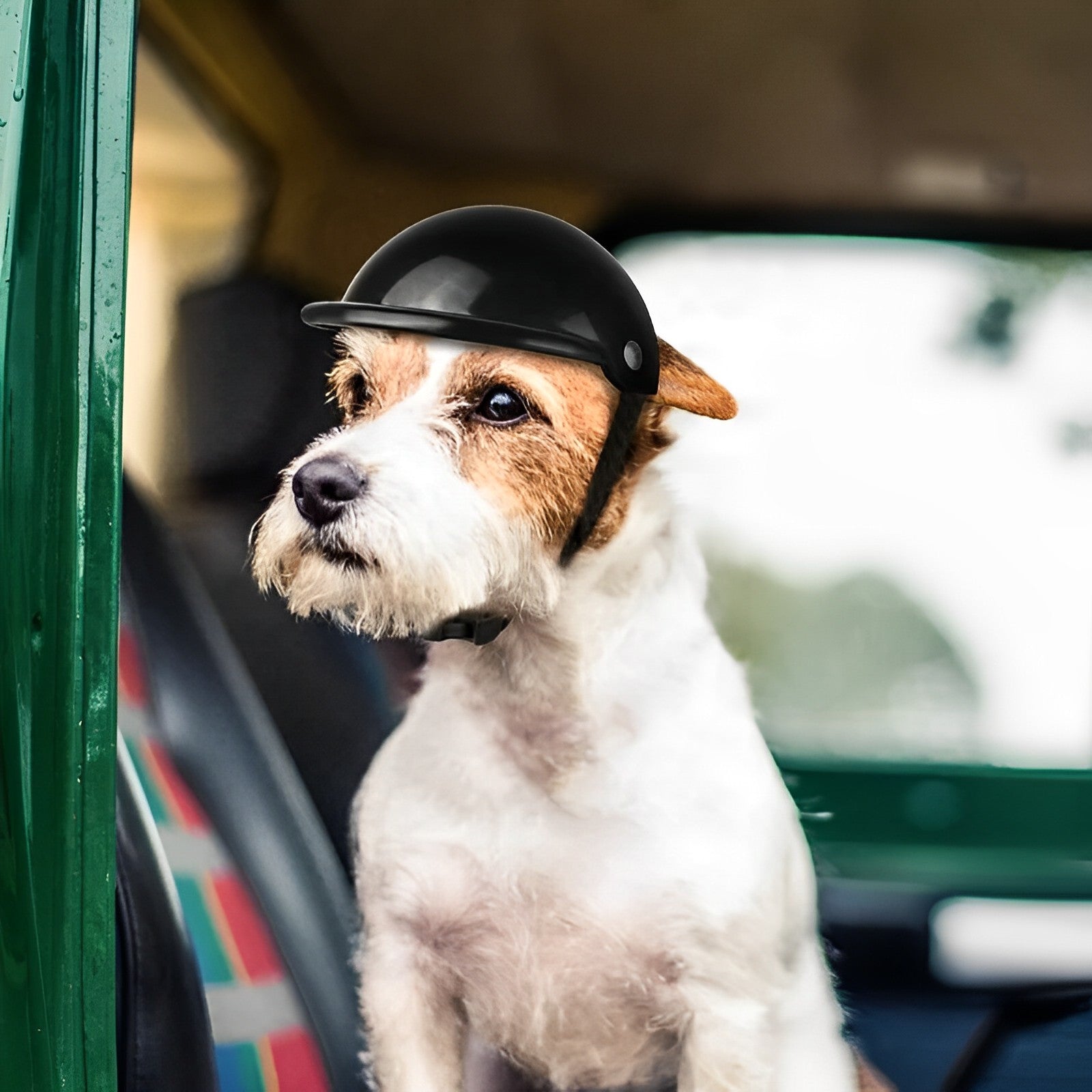 TrailPup Equipaggiamento da Monta per Cani Casco Protettivo con Occhiali