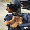 TrailPup Equipaggiamento da Monta per Cani Casco Protettivo con Occhiali