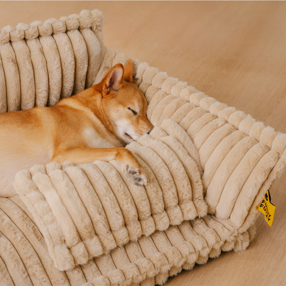 PawCushion | divano ortopedico lavabile per animali domestici