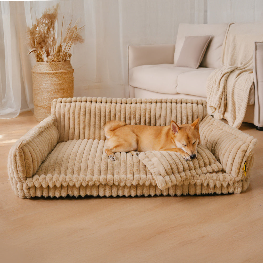 PawCushion | divano ortopedico lavabile per animali domestici