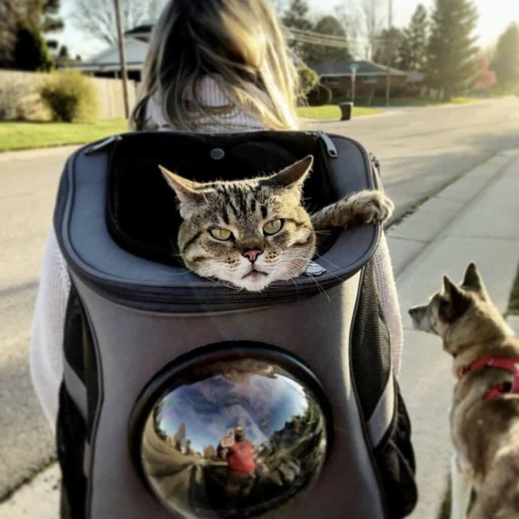 Zaino per Gatti AeroPaws con Finestra a Bolle Ventilata per Viaggi