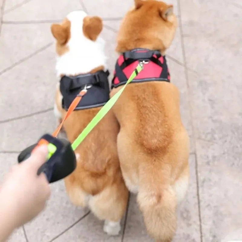 50% di sconto - DualPaws - Passeggiate senza sforzo con due cani - [Ultimo giorno di sconto]