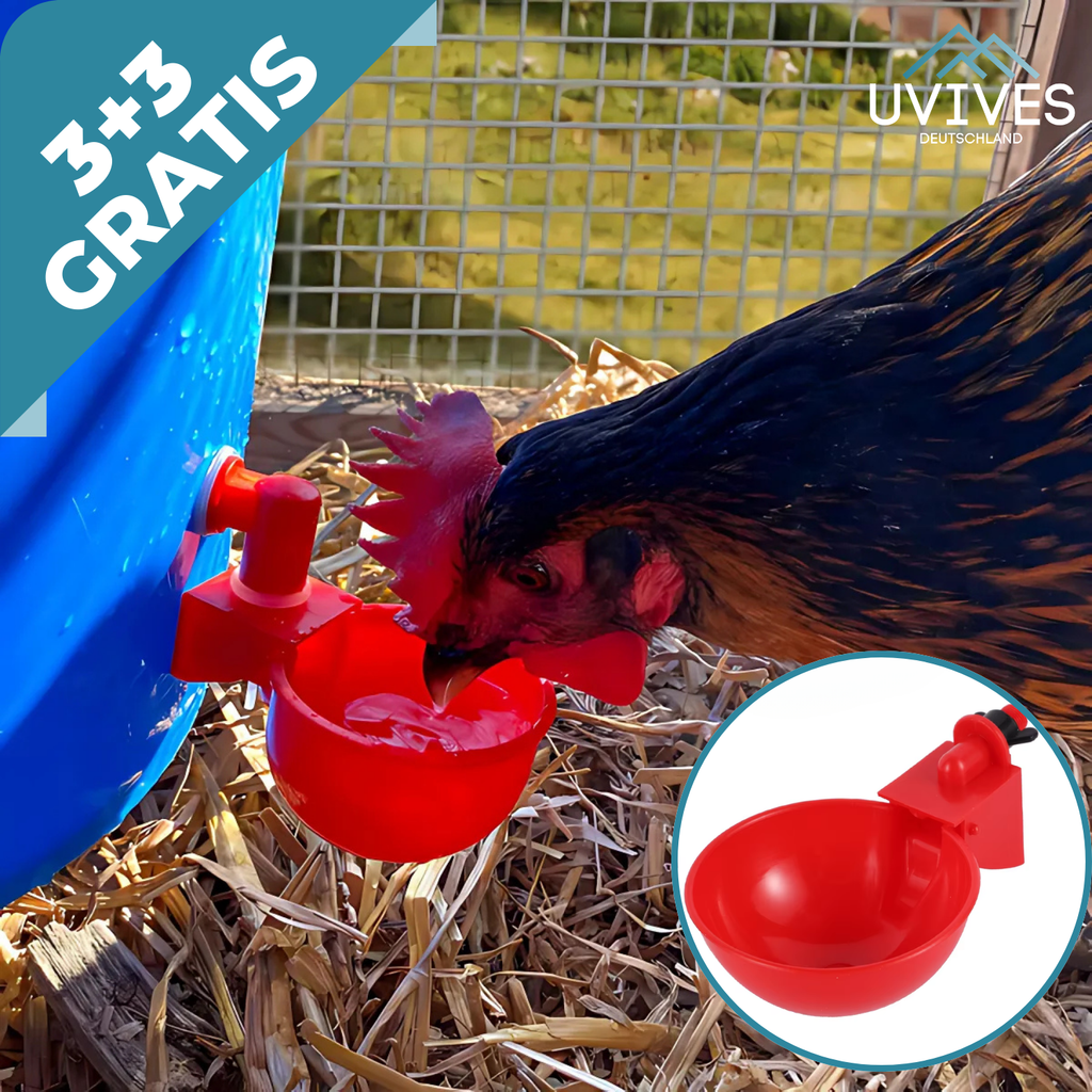 3+3 GRATIS | AquaNest – Acqua fresca per animali felici