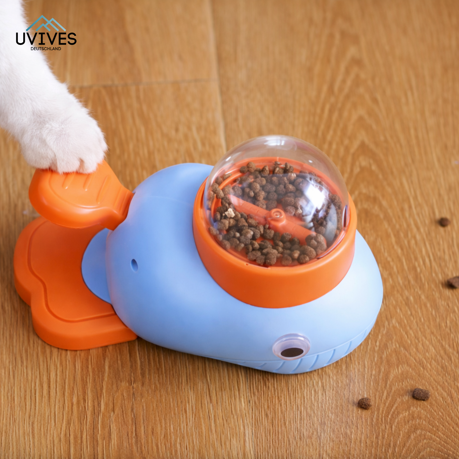 PawQuest - Tiene i Cani Attivi, Vigili e Nutrienti in Modo Sano