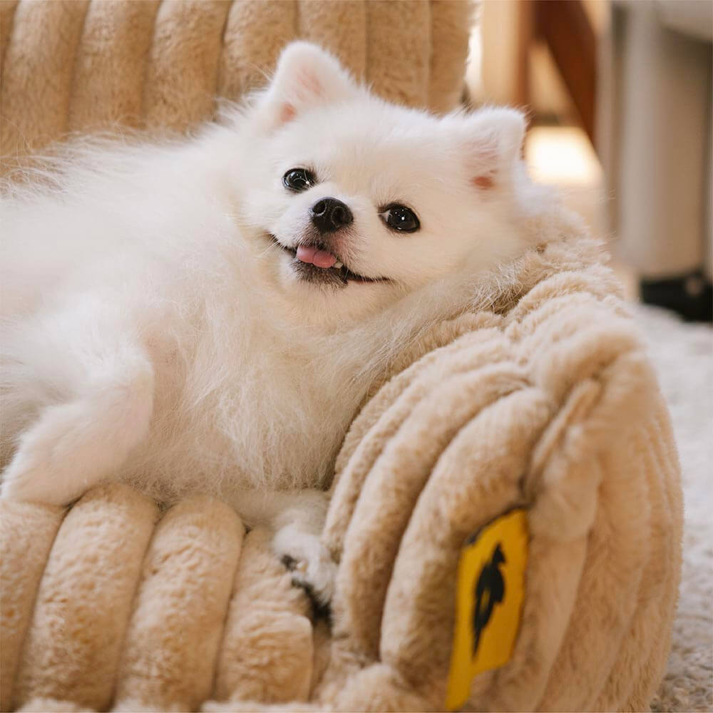 PawCushion | divano ortopedico lavabile per animali domestici