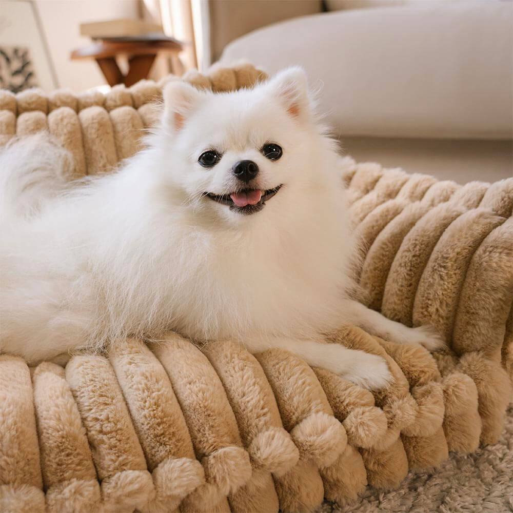 PawCushion | divano ortopedico lavabile per animali domestici