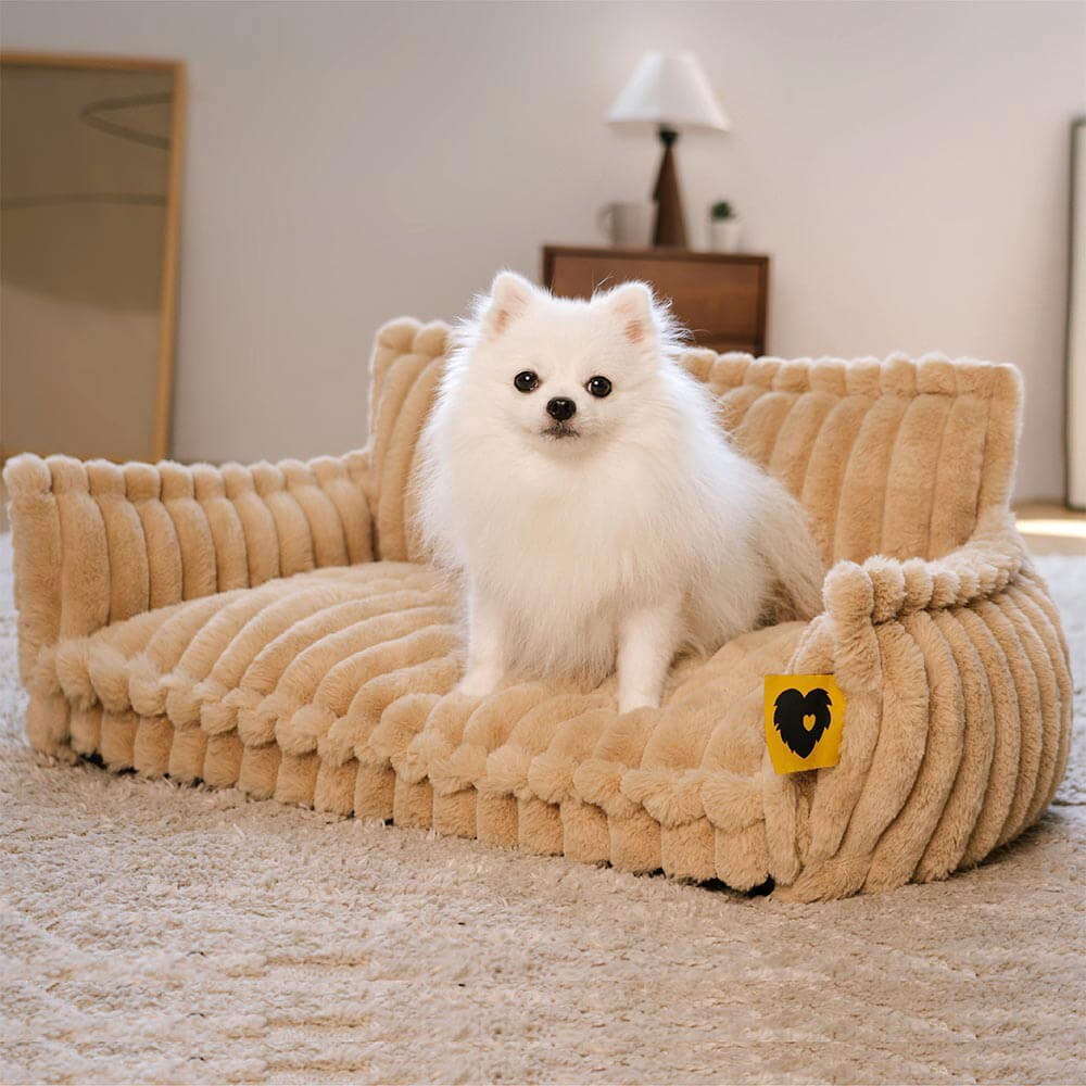 PawCushion | divano ortopedico lavabile per animali domestici