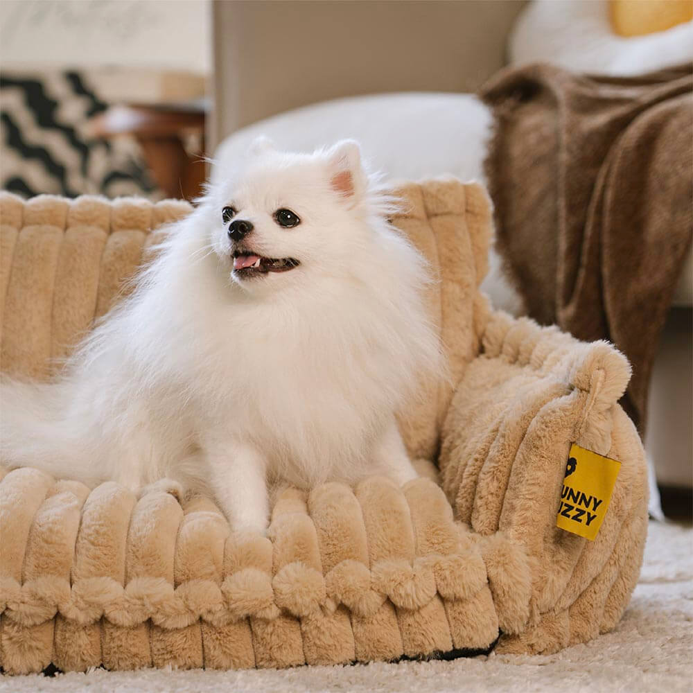 PawCushion | divano ortopedico lavabile per animali domestici