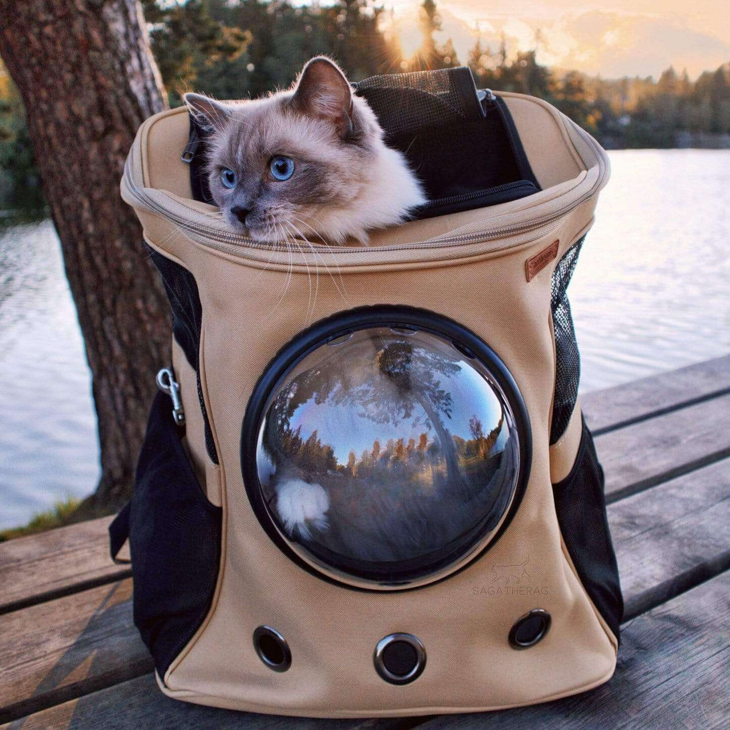 Zaino per Gatti AeroPaws con Finestra a Bolle Ventilata per Viaggi