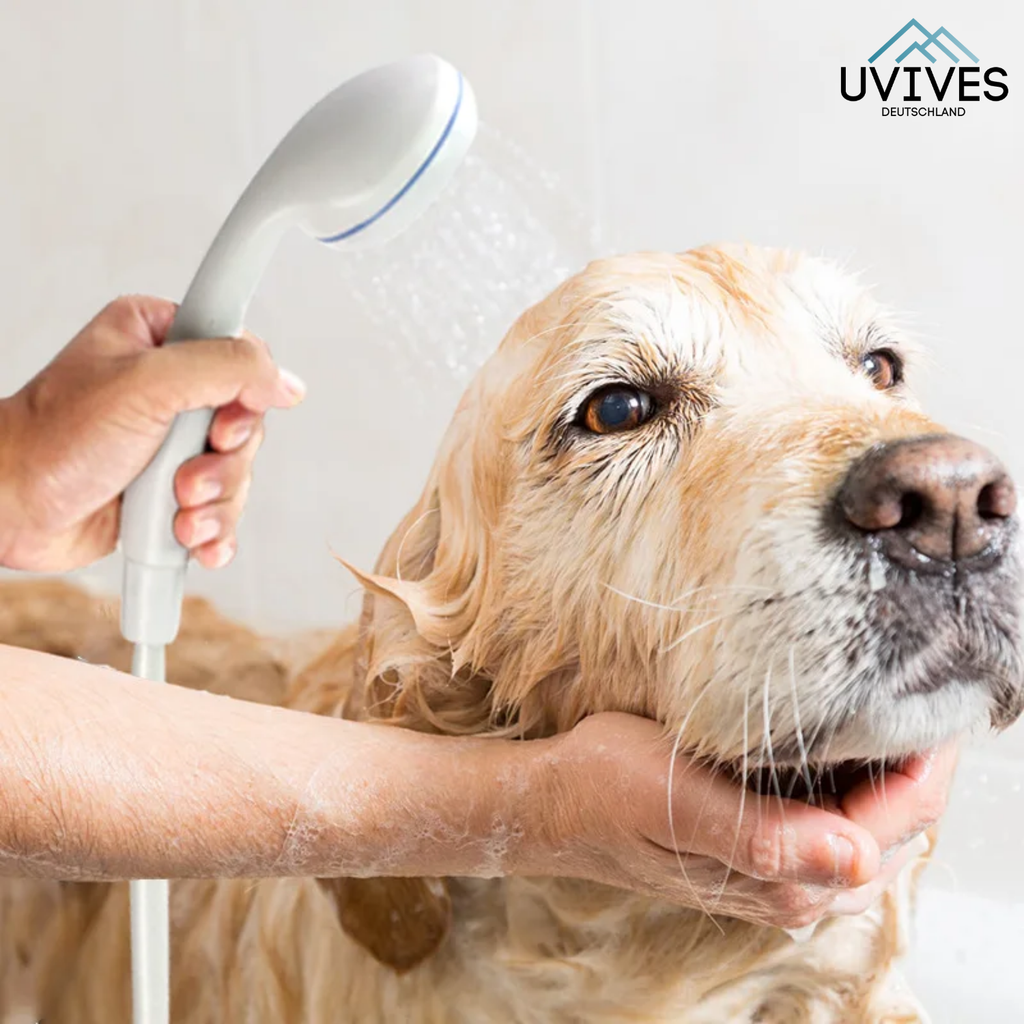 CampShower – Fare la doccia come a casa, ovunque tu sia
