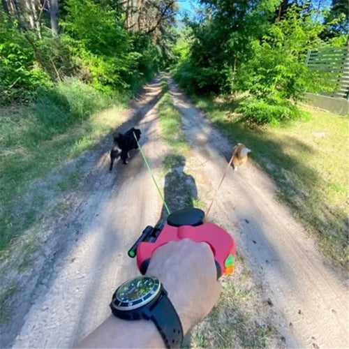 50% di sconto - DualPaws - Passeggiate senza sforzo con due cani - [Ultimo giorno di sconto]