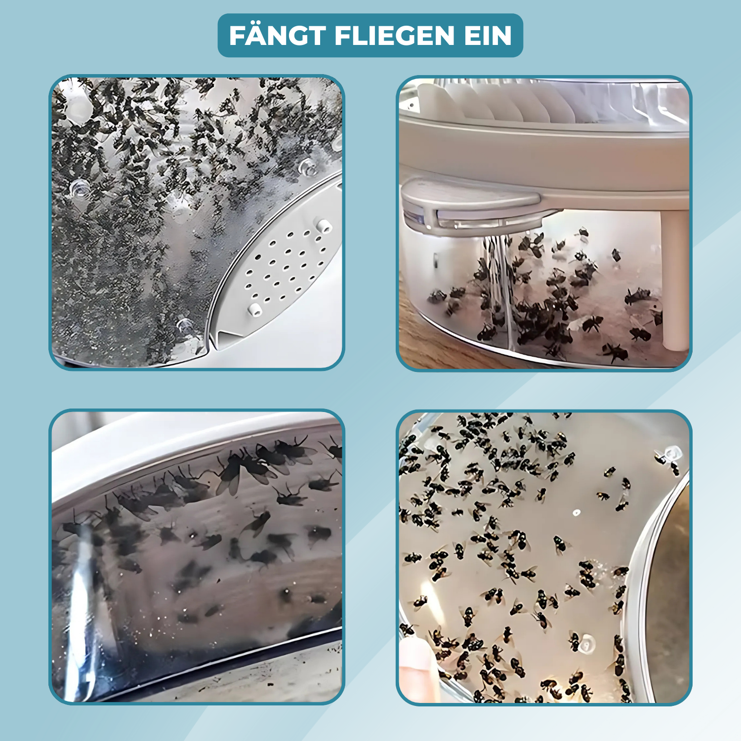 FlyFree – Silenzioso & Senza Chimica contro le Mosche
