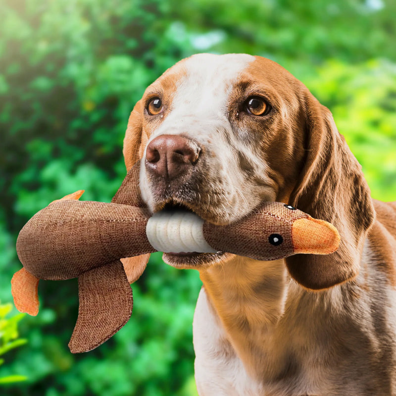 Giocattolo per cani indistruttibile (1+1 GRATIS) - ToughGoose