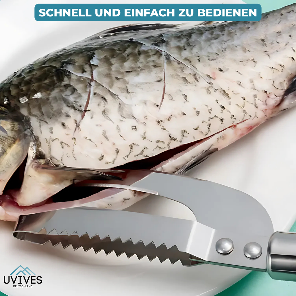 1+1 GRATIS | CleanScrape - Pesce pulito rapidamente e facilmente! [Ultimo giorno di sconto]