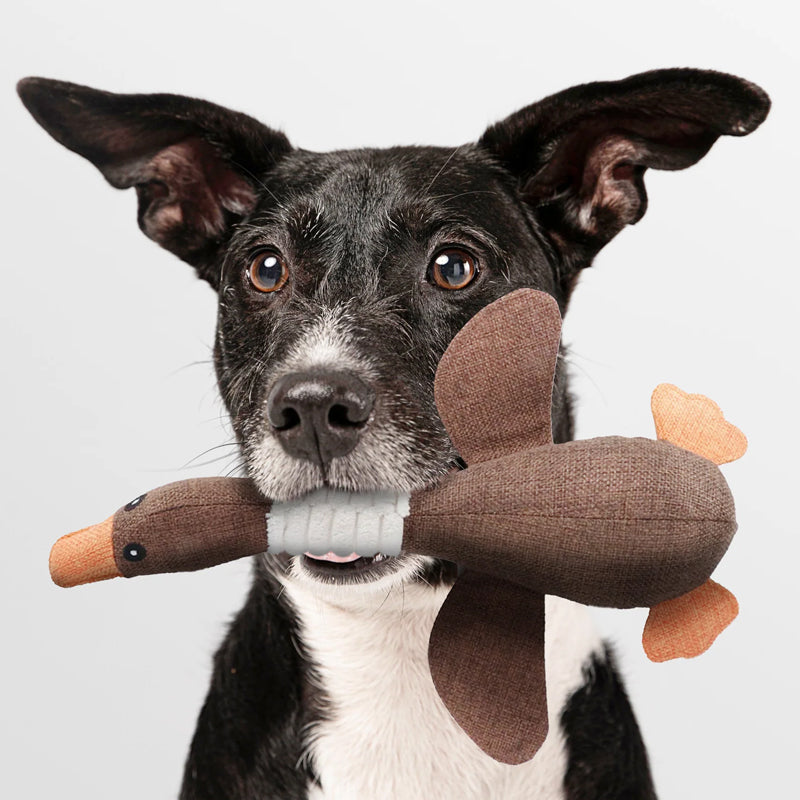 Giocattolo per cani indistruttibile (1+1 GRATIS) - ToughGoose