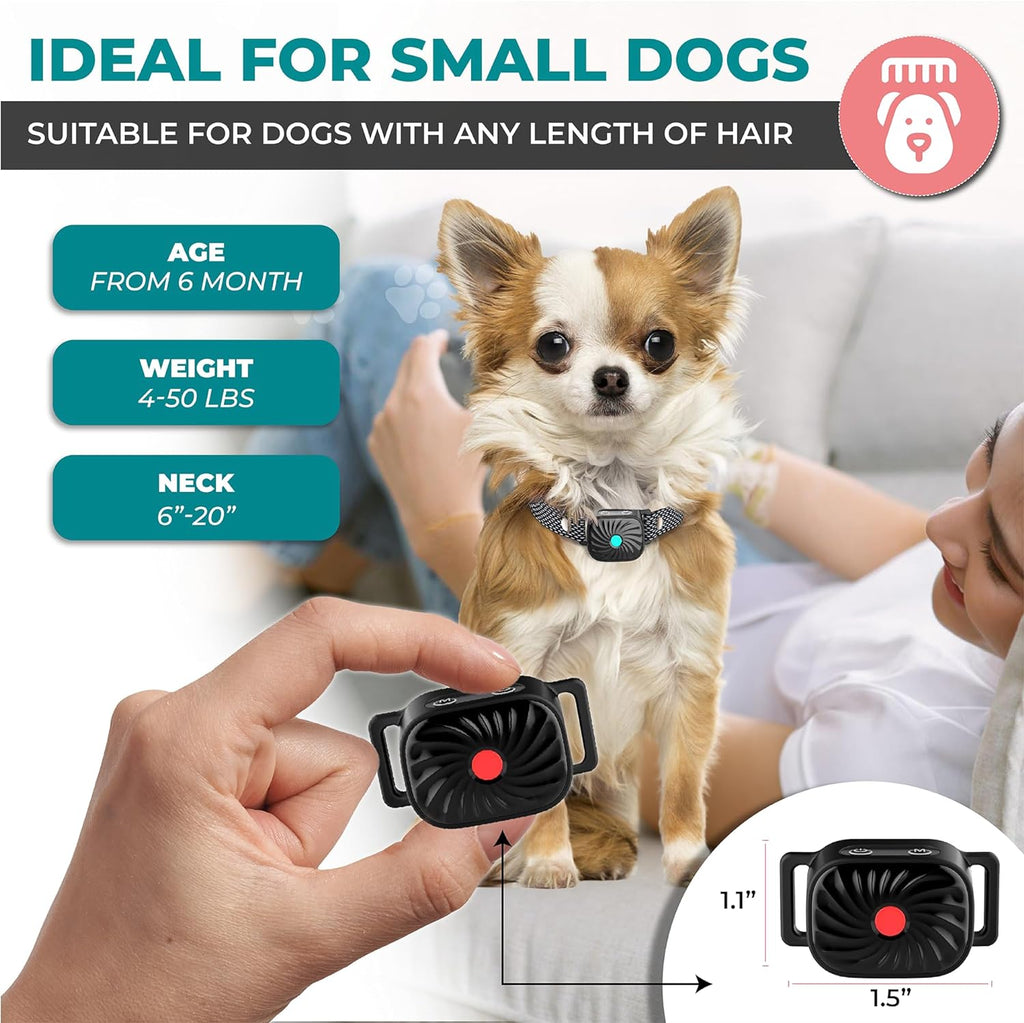 BelloSilent Collare Antibark per Cani Piccoli | Con Suono e Vibrazione | IP87 Impermeabile | Regolabile e Delicato nell'Addestramento