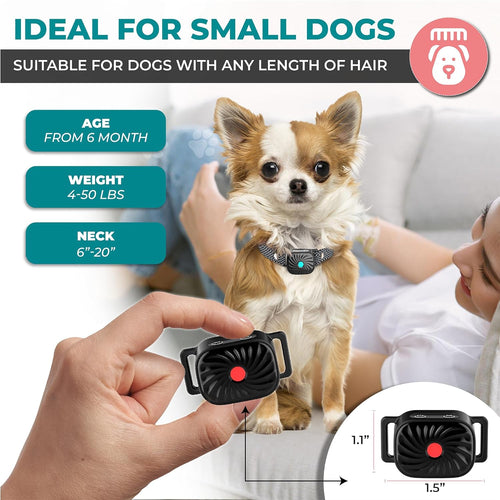 BelloSilent Collare Antibark per Cani Piccoli | Con Suono e Vibrazione | IP87 Impermeabile | Regolabile e Delicato nell'Addestramento