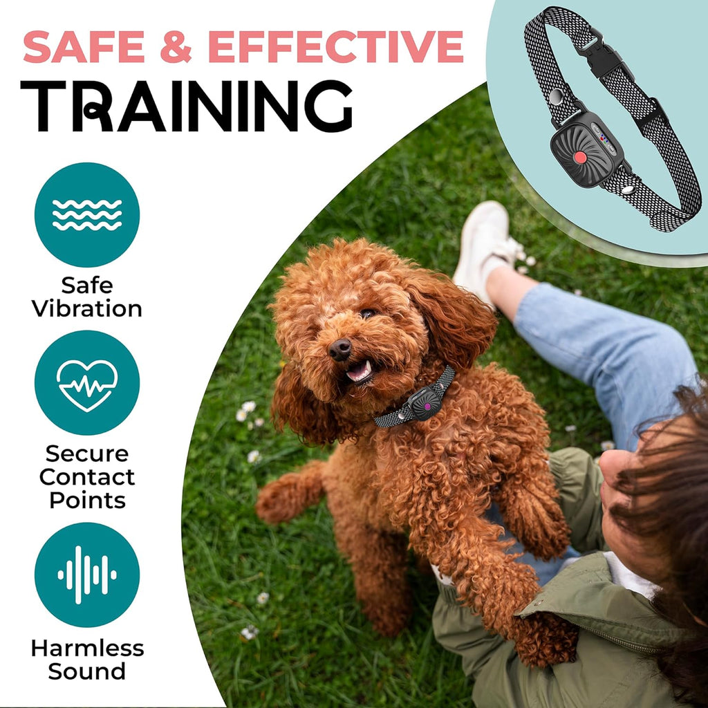 BelloSilent Collare Antibark per Cani Piccoli | Con Suono e Vibrazione | IP87 Impermeabile | Regolabile e Delicato nell'Addestramento