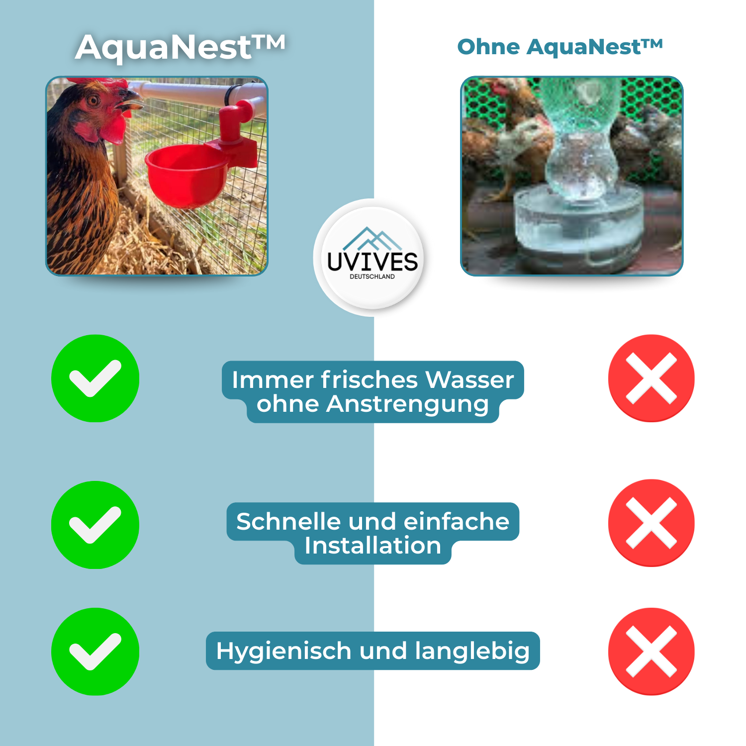 3+3 GRATIS | AquaNest – Acqua fresca per animali felici