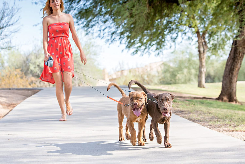 Flessibile per Cani Doppio