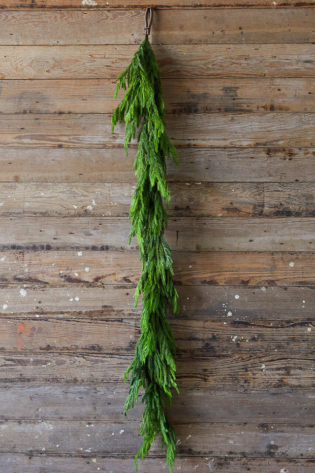 KiefernGlanz™ Accento festivo sempreverde