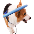 Imbracatura BrightGuide Con Collare Paracolpi Per Cani Non Vedenti Durante Le Passeggiate Quotidiane