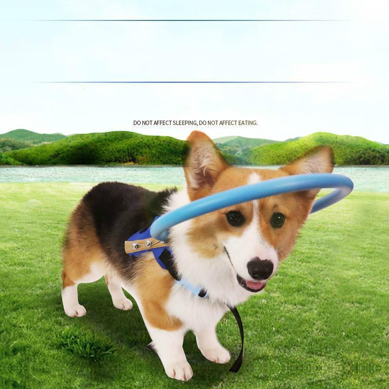 Imbracatura BrightGuide Con Collare Paracolpi Per Cani Non Vedenti Durante Le Passeggiate Quotidiane