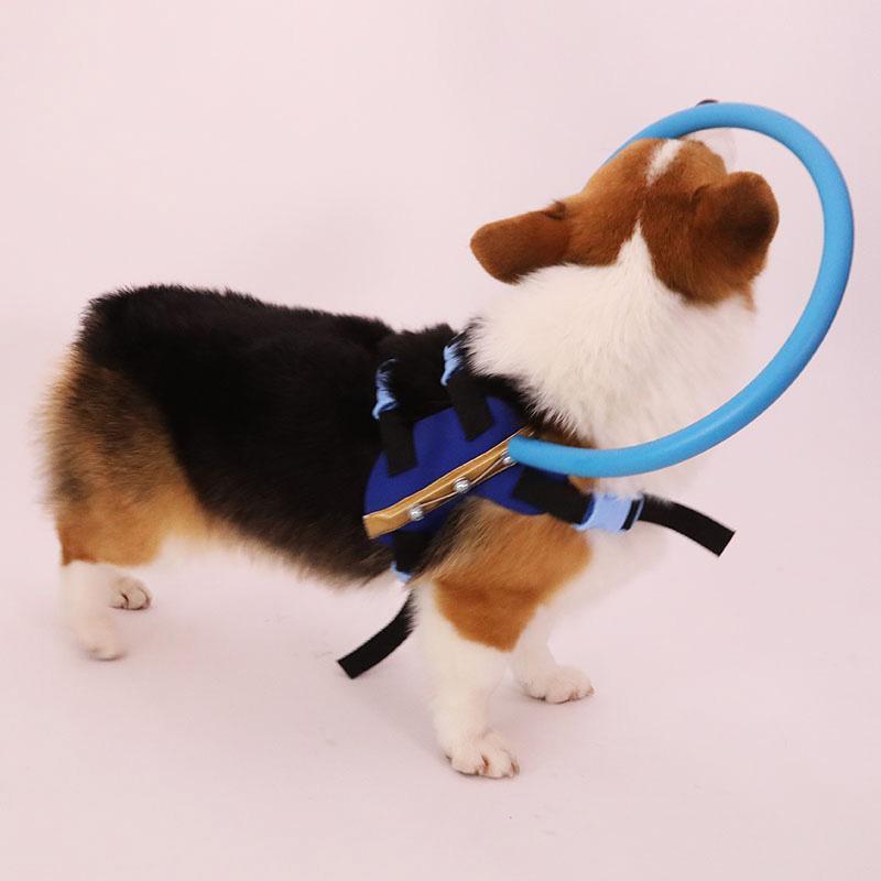 Imbracatura BrightGuide Con Collare Paracolpi Per Cani Non Vedenti Durante Le Passeggiate Quotidiane