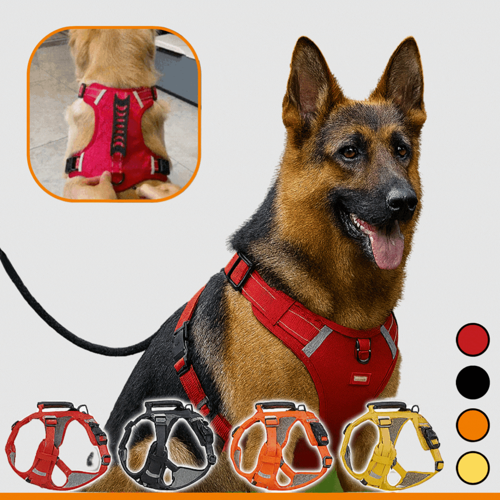 Imbracatura per cani | Imbracatura di sicurezza per cani | Imbracatura riflettente | HappyHund