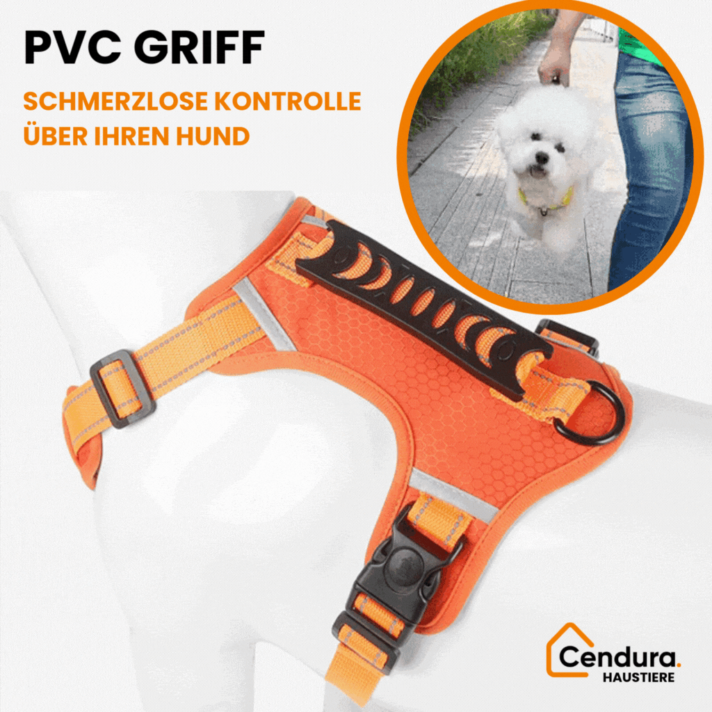 Imbracatura per cani | Imbracatura di sicurezza per cani | Imbracatura riflettente | HappyHund