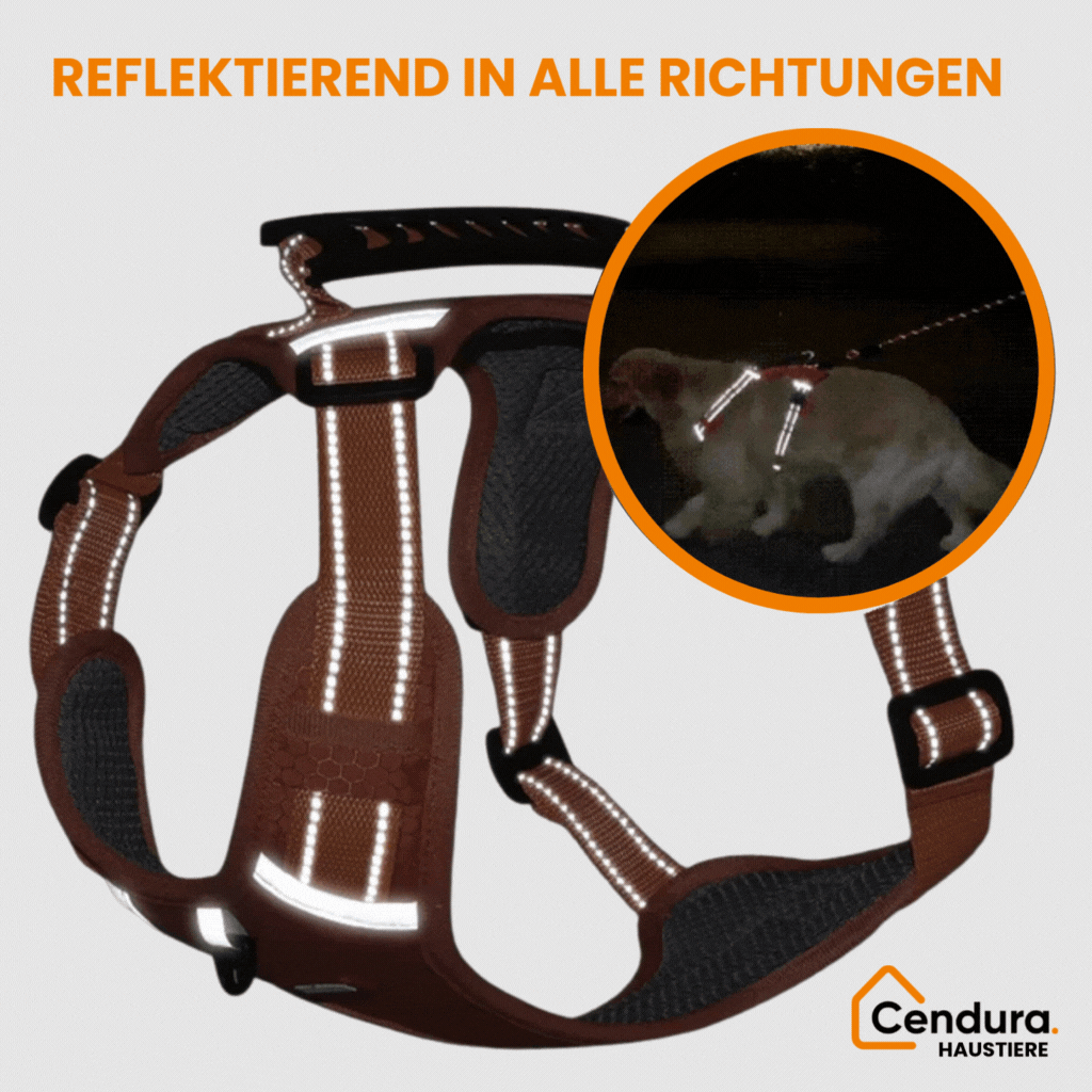 Imbracatura per cani | Imbracatura di sicurezza per cani | Imbracatura riflettente | HappyHund