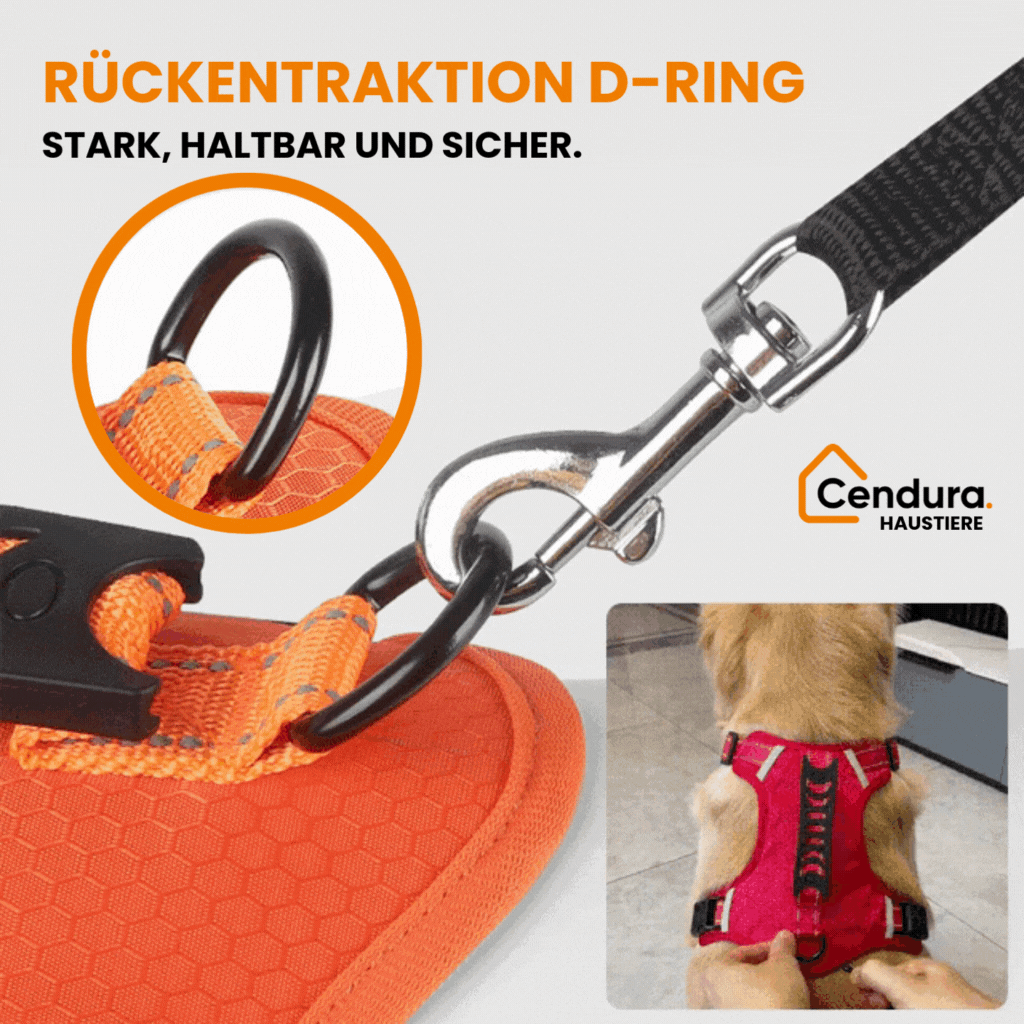 Imbracatura per cani | Imbracatura di sicurezza per cani | Imbracatura riflettente | HappyHund