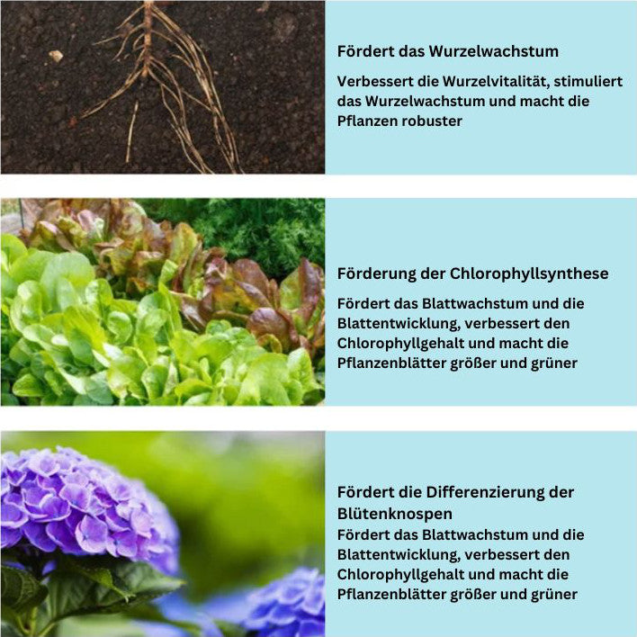 1+1 GRATIS | GrowBoost - Riporta le piante in vita in modo ecologico