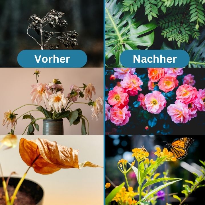 1+1 GRATIS | GrowBoost - Riporta le piante in vita in modo ecologico