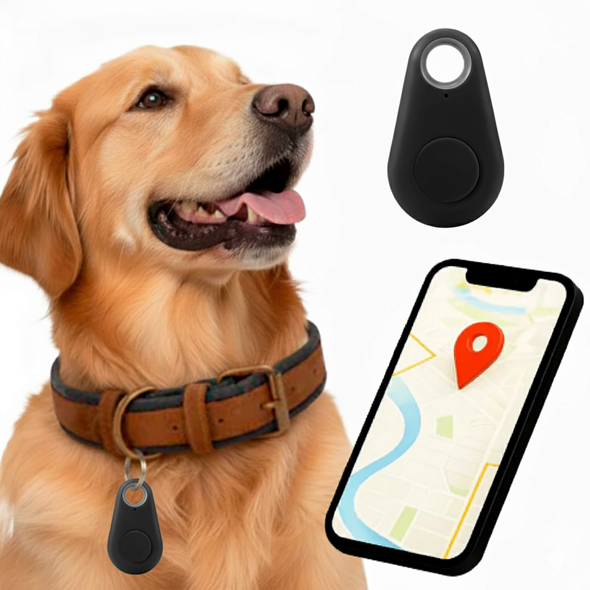 Tracker GPS per Cani Kirra Impermeabile con Aggiornamenti di Posizione in Tempo Reale