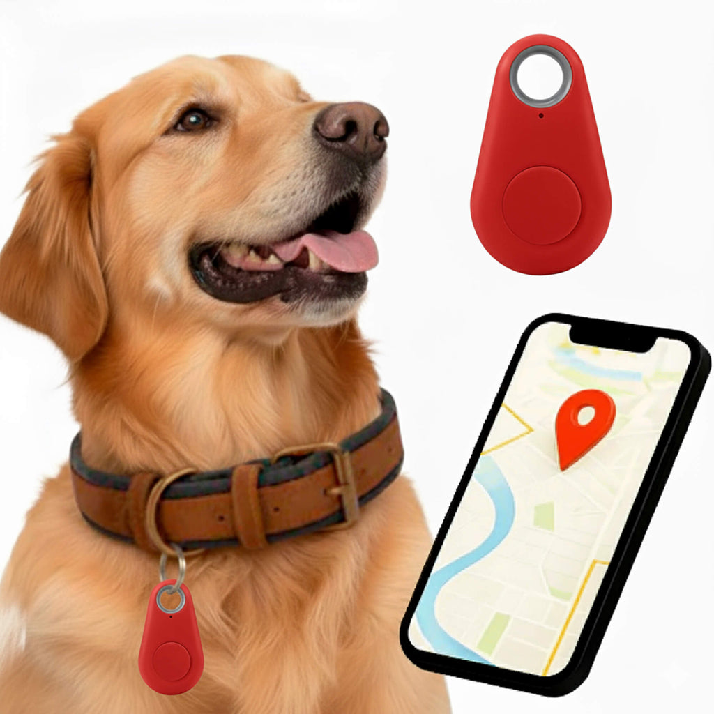 Tracker GPS per Cani Kirra Impermeabile con Aggiornamenti di Posizione in Tempo Reale