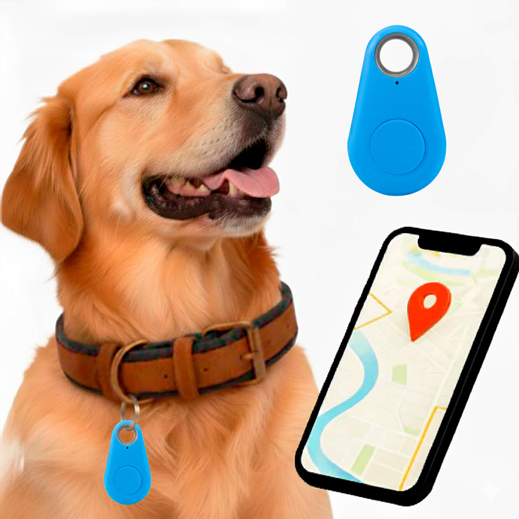 Tracker GPS per Cani Kirra Impermeabile con Aggiornamenti di Posizione in Tempo Reale