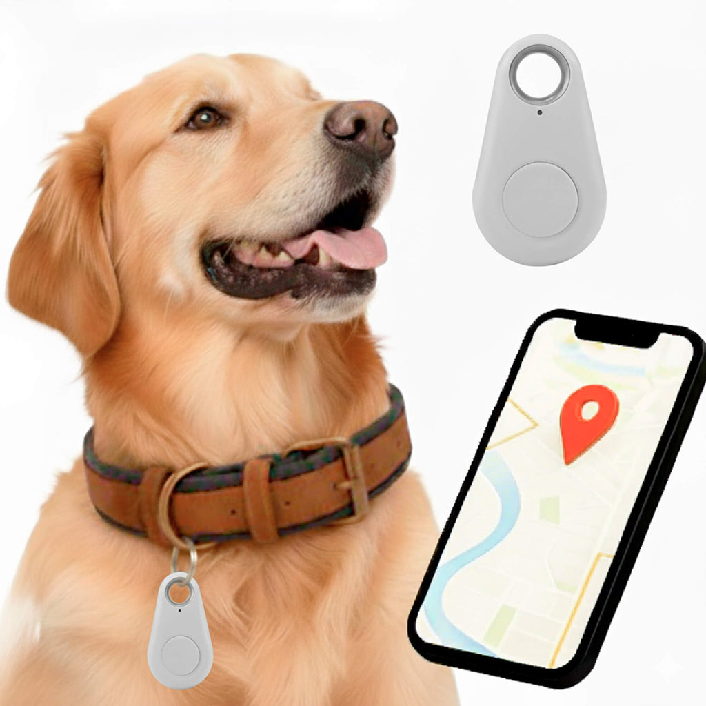 Tracker GPS per Cani Kirra Impermeabile con Aggiornamenti di Posizione in Tempo Reale