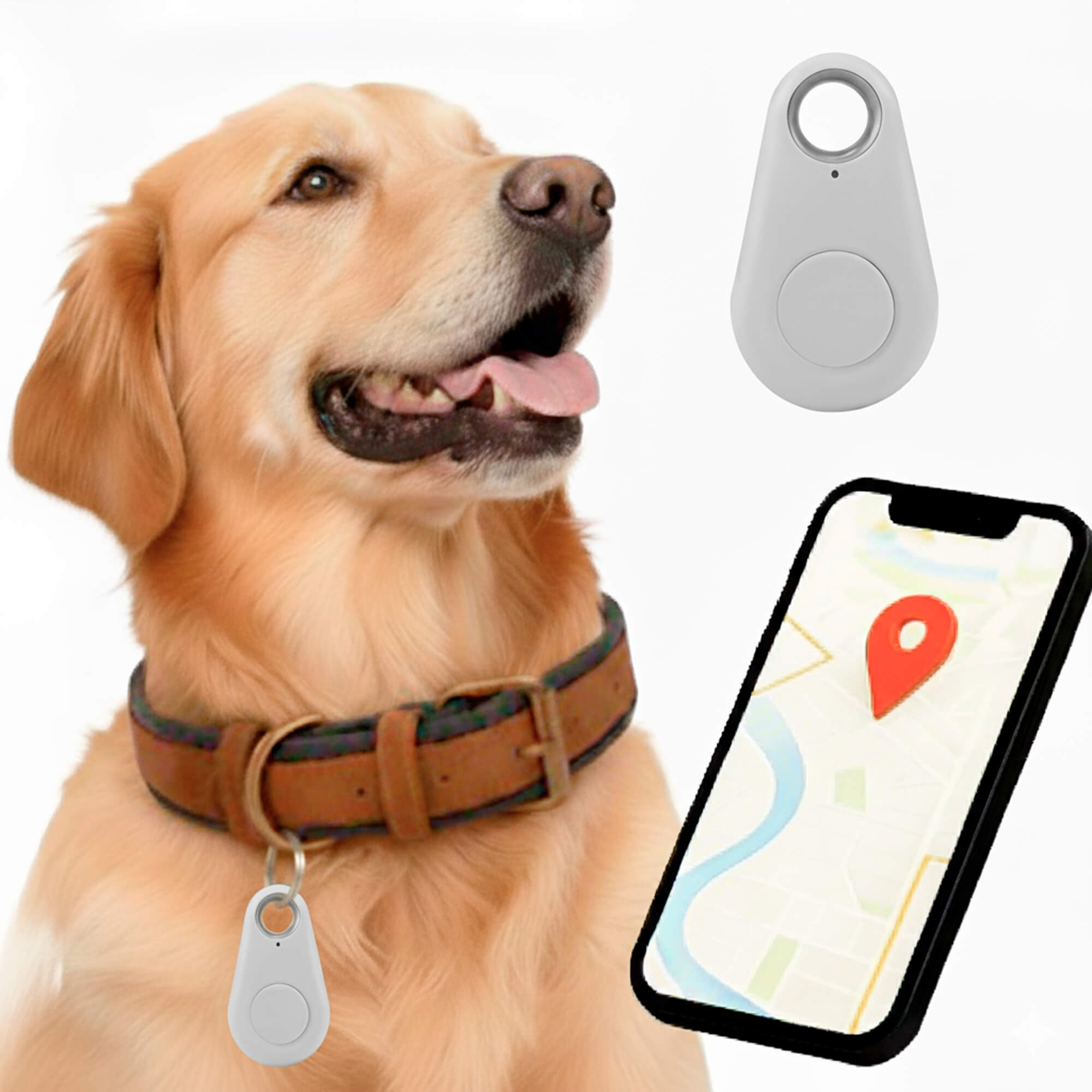 Tracker GPS per Cani Kirra Impermeabile con Aggiornamenti di Posizione in Tempo Reale