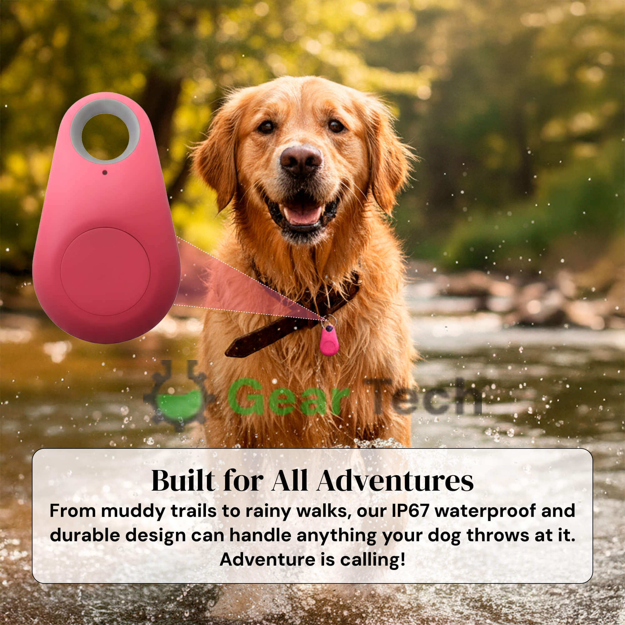 Tracker GPS per Cani Kirra Impermeabile con Aggiornamenti di Posizione in Tempo Reale