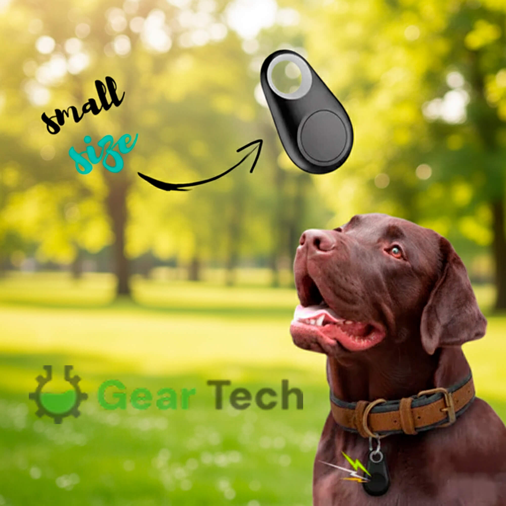 Tracker GPS per Cani Kirra Impermeabile con Aggiornamenti di Posizione in Tempo Reale